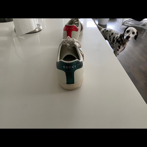 Gucci ace sneakers - Picture 4 of 7